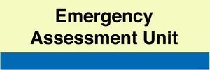 NHS Style Emergency Assessment Unit